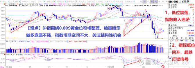 金字火腿股票行情走势深度分析