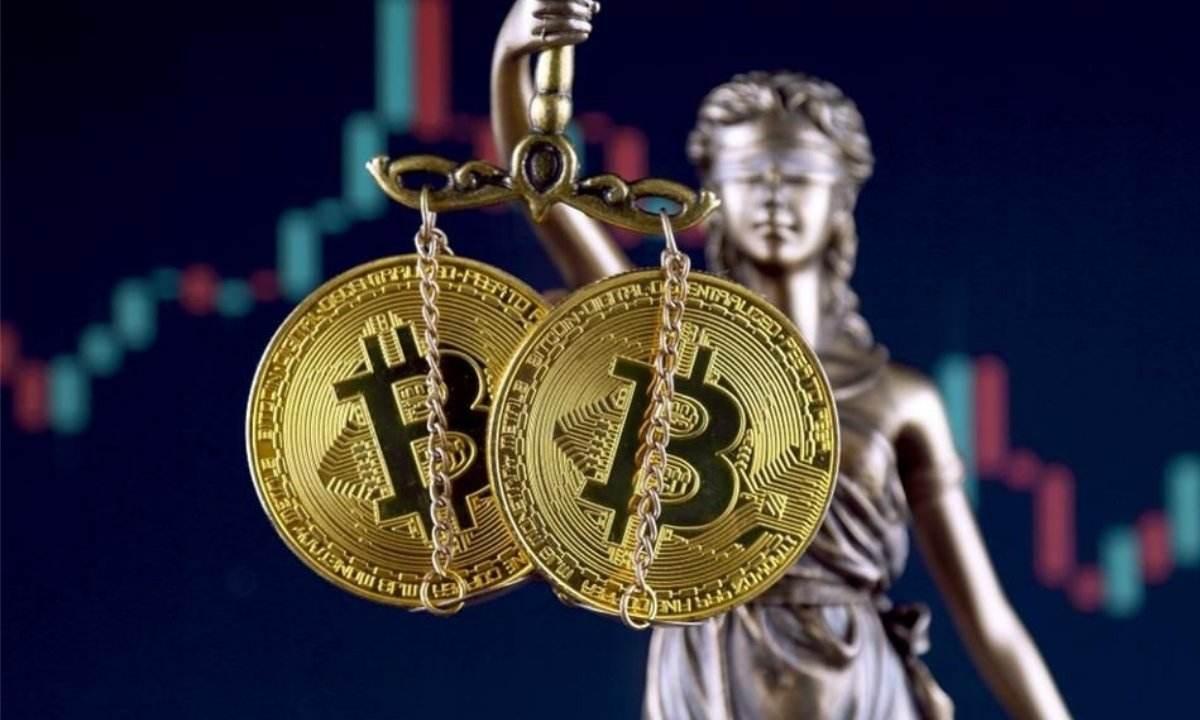 钱包金融最新公告，探索自然之旅，寻找内心的宁静与平和