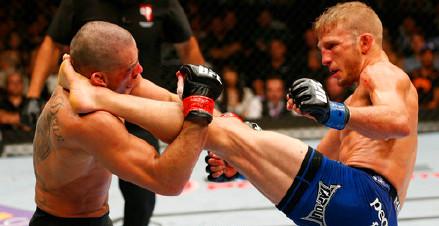 UFC女子隆达罗安达最新动态报道