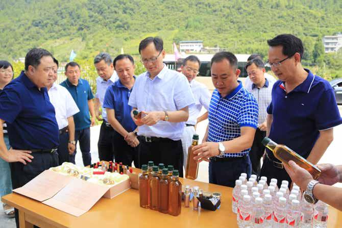 湖北许克振最新动态更新📢