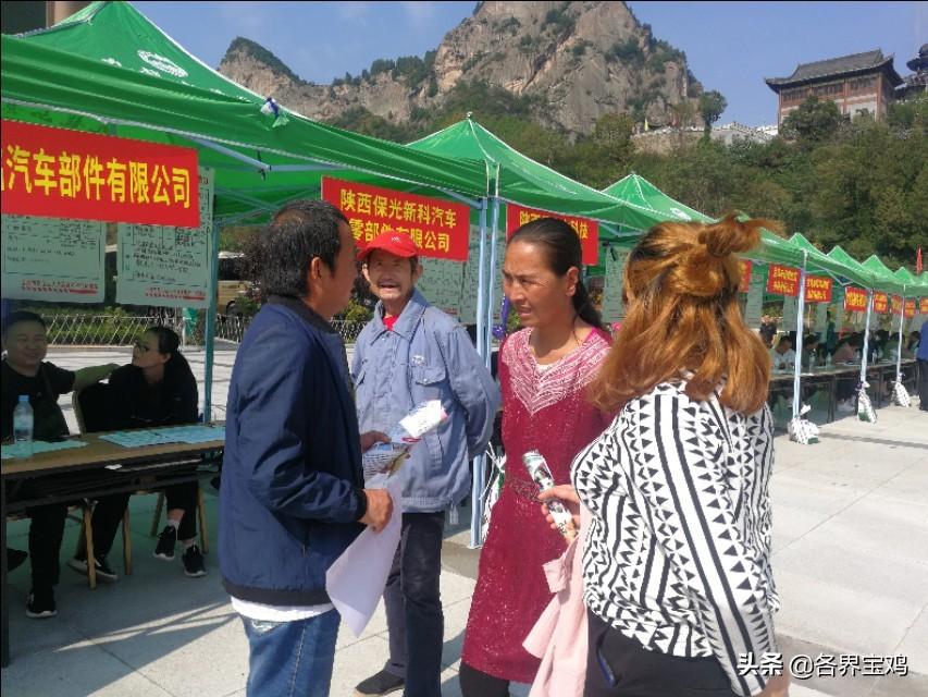 陈仓区最新招聘信息及其观点论述概览