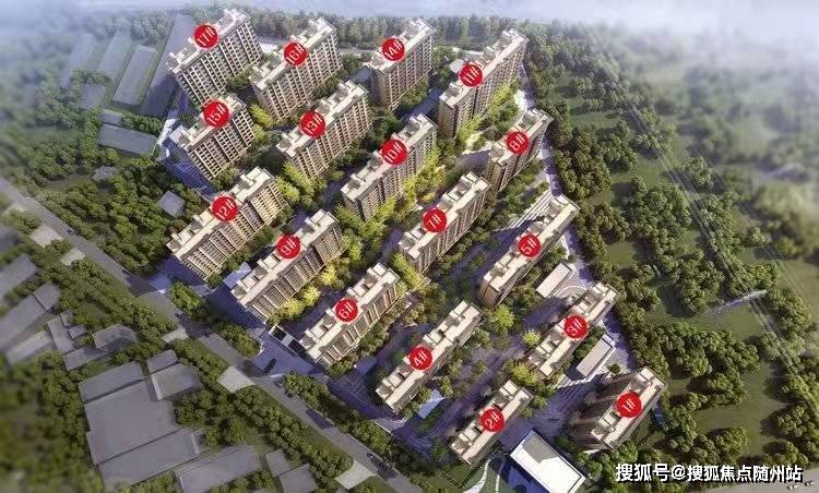 北大留美学生走失最新消息，跨越时空的友情故事探寻
